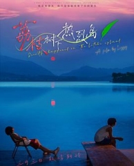 荔枝树下热烈岛